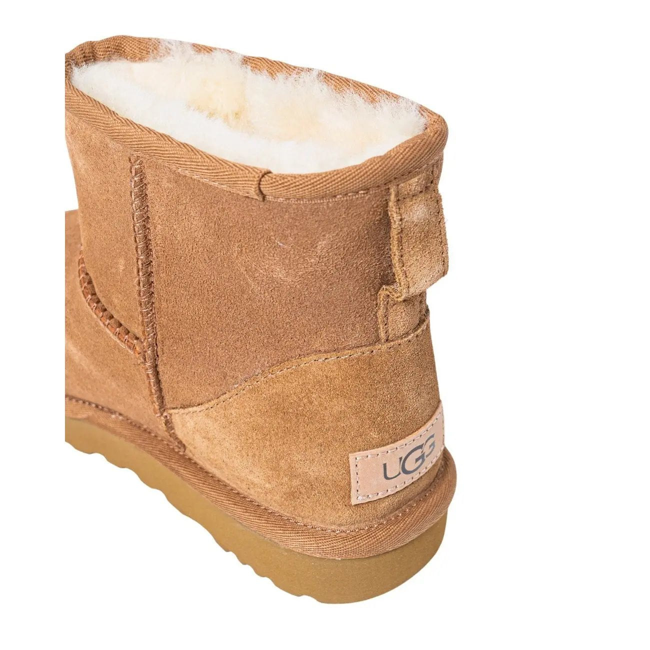 Ugg Women Boots Ugg