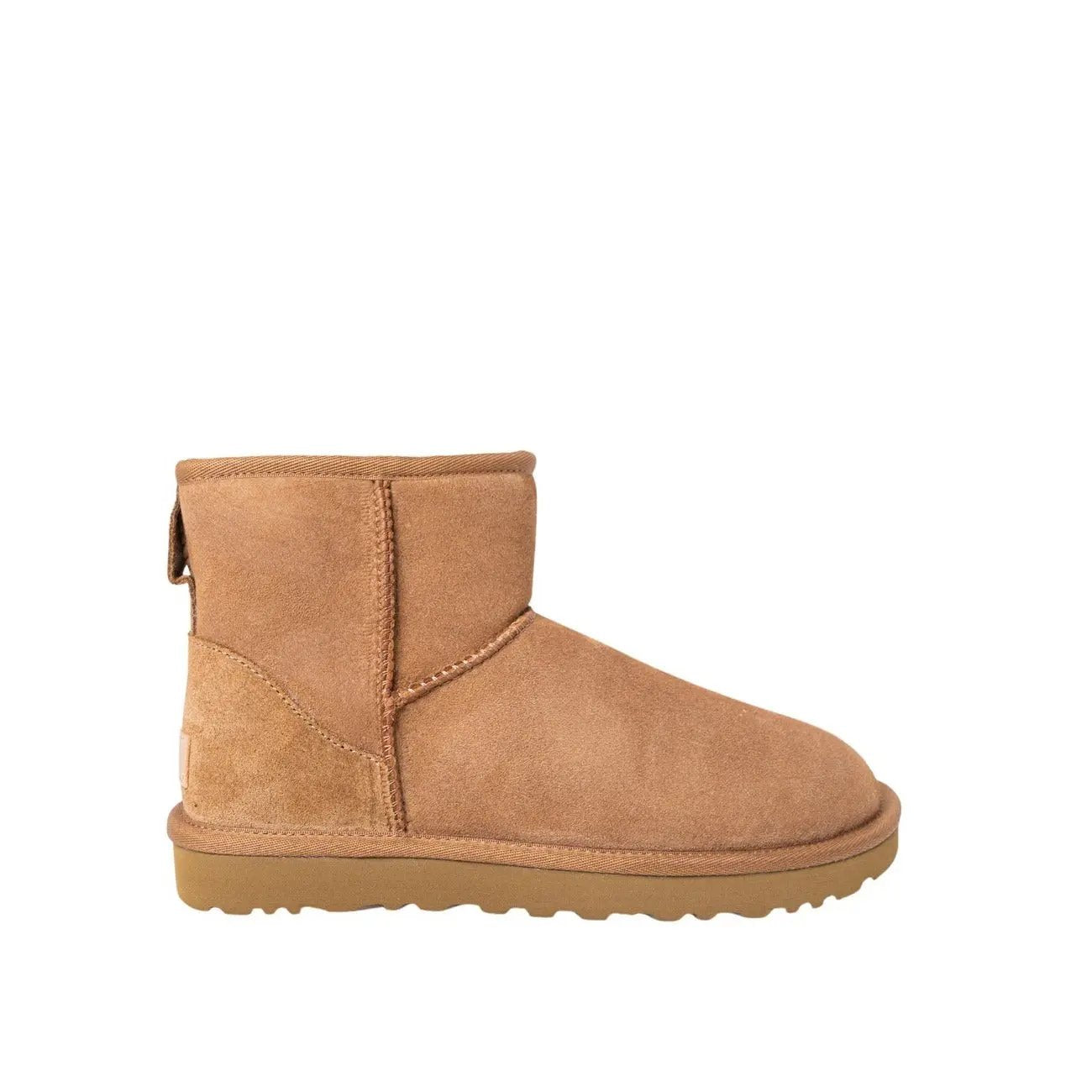 Ugg Women Boots Ugg