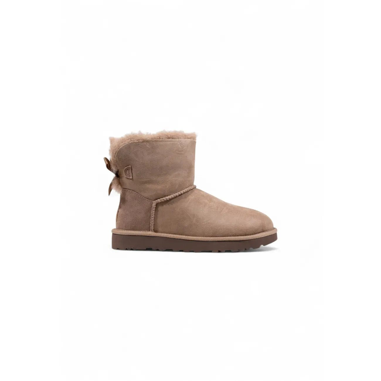 Ugg Women Boots Ugg