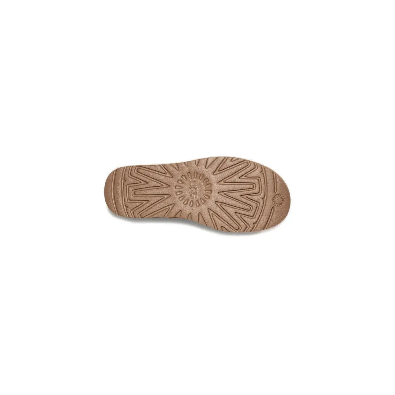 Ugg Women Boots Ugg